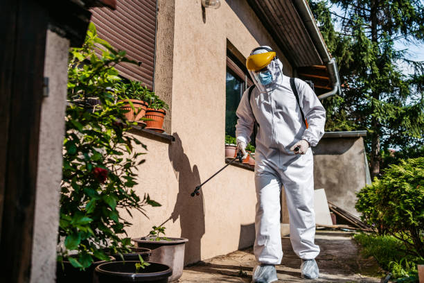 Best Affordable Pest Control Services  in Tampa, FL