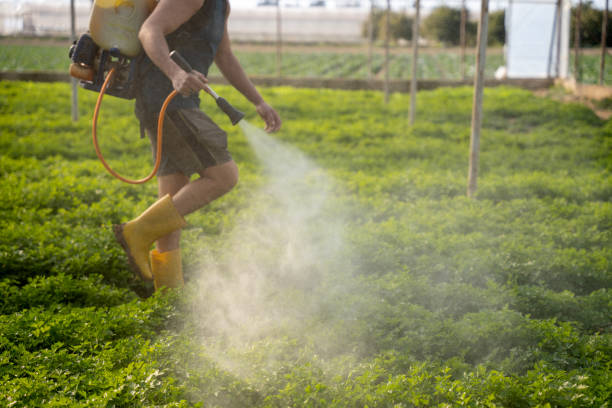 Best Commercial Pest Control Services  in Tampa, FL