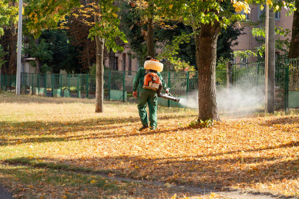 Reliable Tampa, FL Pest Control Solutions